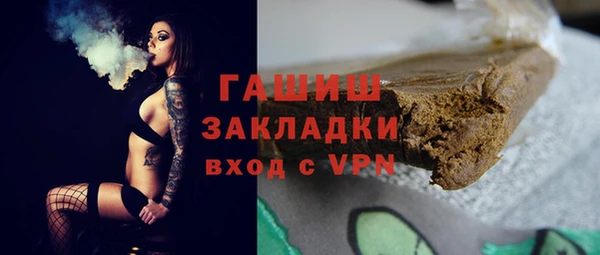 шишки Корсаков