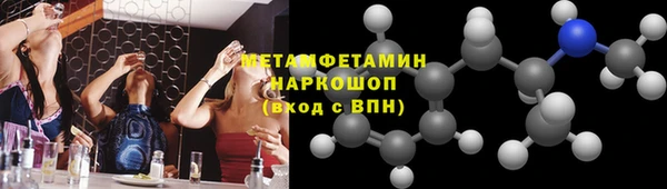 шишки Корсаков
