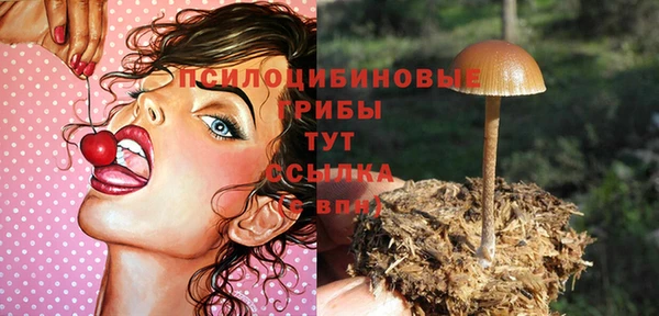 шишки Корсаков