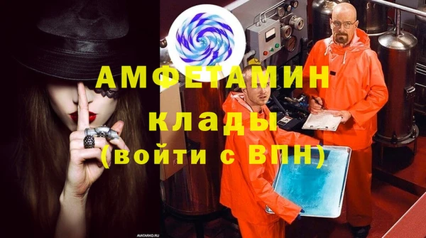 шишки Корсаков