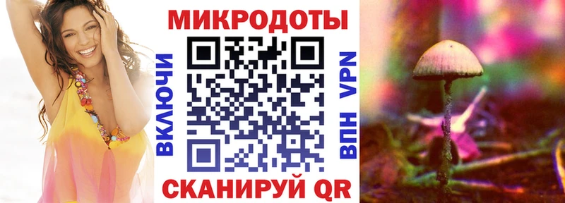 Купить  Данков  Псилоцибиновые грибы Psilocybe 