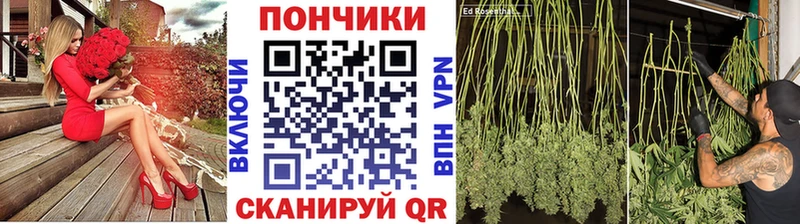 Купить закладки Данков Каннабис сатива